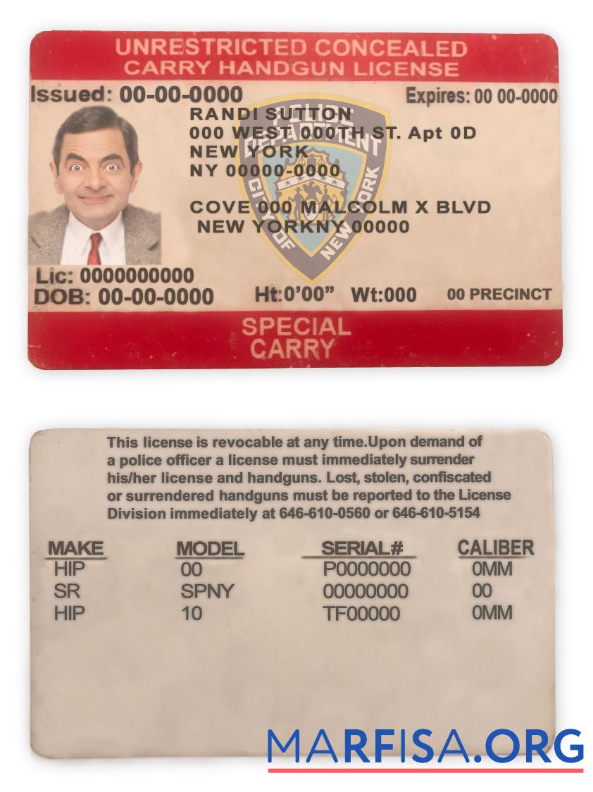 Printable USA New York unrestricted concealed carry license real example